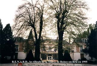 Les tilleuls devant la Mairie de Roissy-en-Brie, en 1995