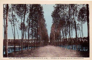 La route Royale et l'tang de Vincennes