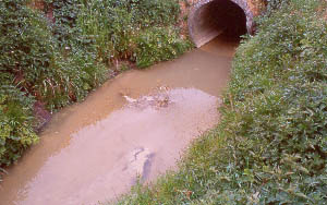 Rejet de pollution par un tuyau d'eaux pluviales
