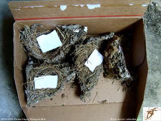 Les nids sont déposés et numérotés