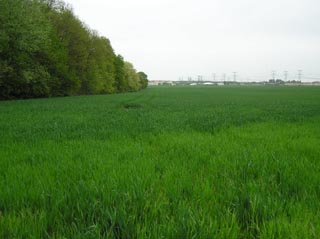 vue de Roissy-en-Brie depuis le chemin de la Patrouille