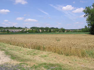 Une plaine agricole